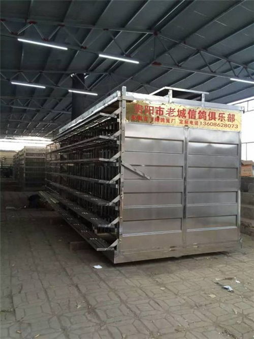飛翔鴿籠廠 不銹鋼賽鴿籠的質(zhì)量之選